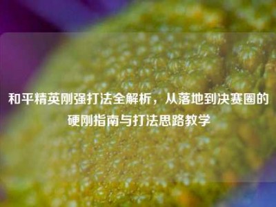 和平精英刚强打法全解析，从落地到决赛圈的硬刚指南与打法思路教学