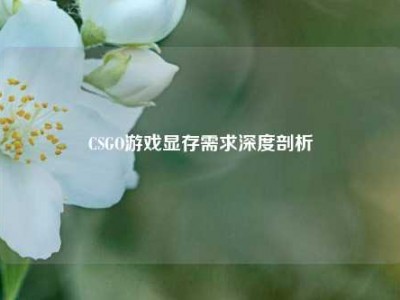 CSGO游戏显存需求深度剖析