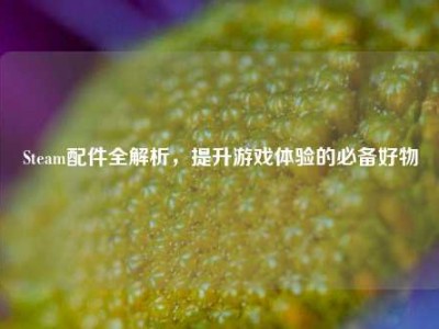 Steam配件全解析，提升游戏体验的必备好物