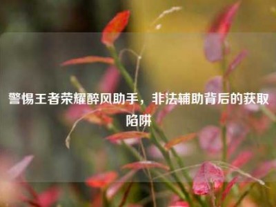 警惕王者荣耀醉风助手，非法辅助背后的获取陷阱
