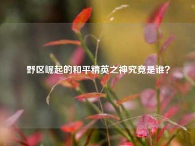 野区崛起的和平精英之神究竟是谁？