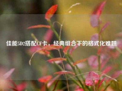 佳能5D2搭配CF卡，经典组合下的格式化难题