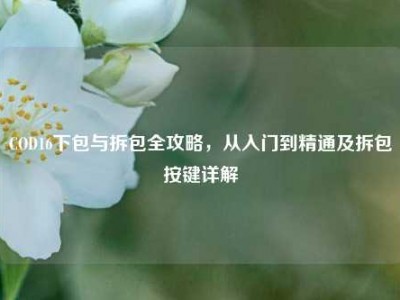COD16下包与拆包全攻略，从入门到精通及拆包按键详解