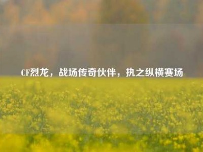CF烈龙，战场传奇伙伴，执之纵横赛场