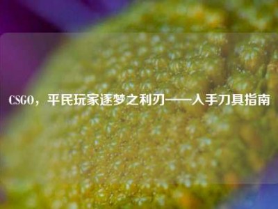 CSGO，平民玩家逐梦之利刃——入手刀具指南