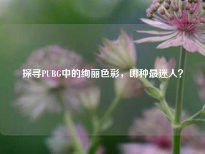 探寻PUBG中的绚丽色彩，哪种最迷人？