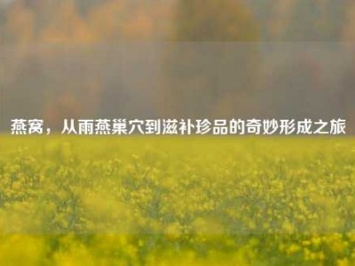 燕窝，从雨燕巢穴到滋补珍品的奇妙形成之旅