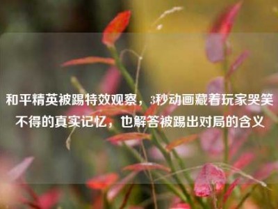和平精英被踢特效观察，3秒动画藏着玩家哭笑不得的真实记忆，也解答被踢出对局的含义
