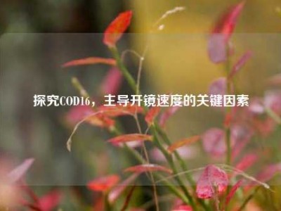 探究COD16，主导开镜速度的关键因素