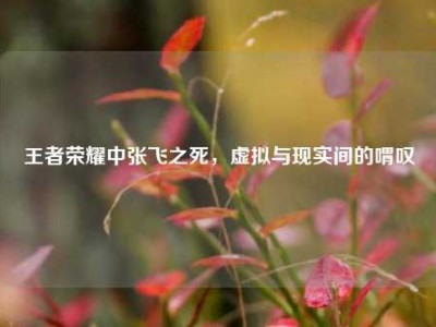 王者荣耀中张飞之死，虚拟与现实间的喟叹