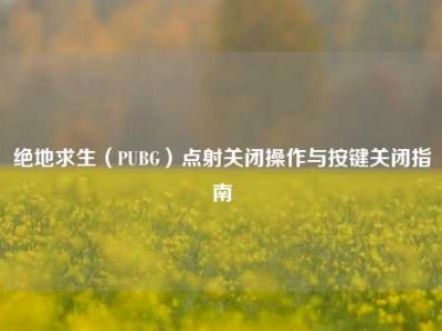 绝地求生（PUBG）点射关闭操作与按键关闭指南