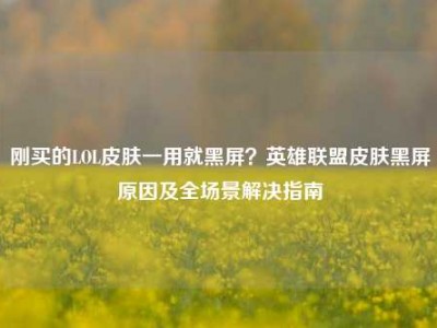 刚买的LOL皮肤一用就黑屏？英雄联盟皮肤黑屏原因及全场景解决指南
