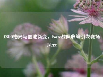 CSGO格局与图池新变，Forze战队收编引发赛场风云