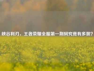 峡谷利刃，王者荣耀全服第一荆轲究竟有多狠？