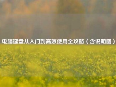 电脑键盘从入门到高效使用全攻略（含说明图）