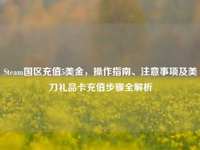 Steam国区充值5美金，操作指南、注意事项及美刀礼品卡充值步骤全解析