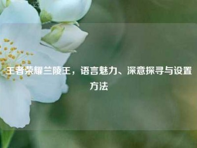 王者荣耀兰陵王，语言魅力、深意探寻与设置方法