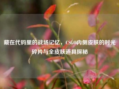 藏在代码里的战场记忆，CSGO内侧皮肤的时光碎片与全皮肤道具探秘