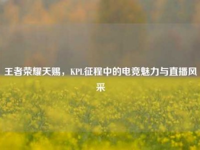 王者荣耀天赐，KPL征程中的电竞魅力与直播风采