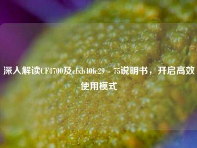 深入解读CF4700及cfxb40fc29 - 75说明书，开启高效使用模式