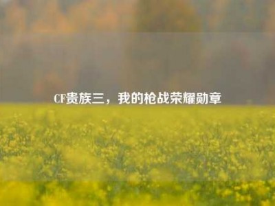 CF贵族三，我的枪战荣耀勋章