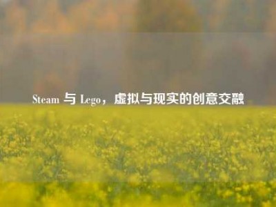 Steam 与 Lego，虚拟与现实的创意交融