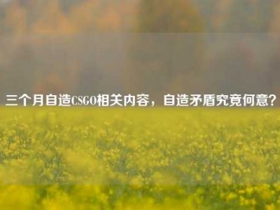 三个月自造CSGO相关内容，自造矛盾究竟何意？