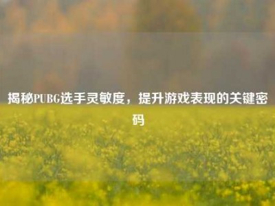 揭秘PUBG选手灵敏度，提升游戏表现的关键密码