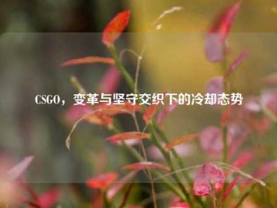 CSGO，变革与坚守交织下的冷却态势
