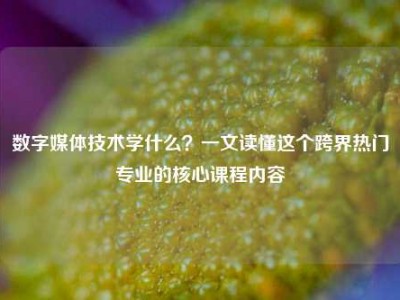数字媒体技术学什么？一文读懂这个跨界热门专业的核心课程内容