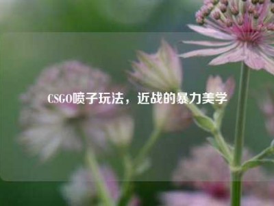 CSGO喷子玩法，近战的暴力美学