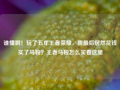谁懂啊！玩了五年王者荣耀，我最后居然花钱买了马鞍？王者马鞍怎么买看这里