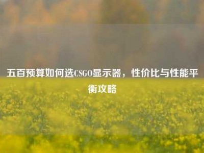 五百预算如何选CSGO显示器，性价比与性能平衡攻略