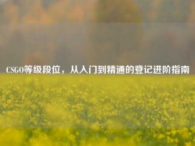 CSGO等级段位，从入门到精通的登记进阶指南