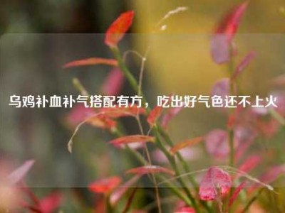 乌鸡补血补气搭配有方，吃出好气色还不上火