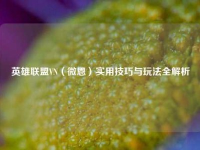 英雄联盟VN（微恩）实用技巧与玩法全解析