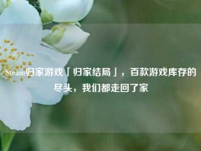 Steam归家游戏「归家结局」，百款游戏库存的尽头，我们都走回了家