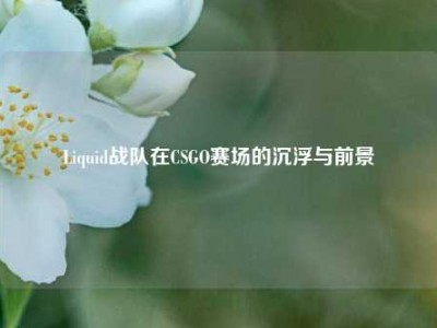 Liquid战队在CSGO赛场的沉浮与前景