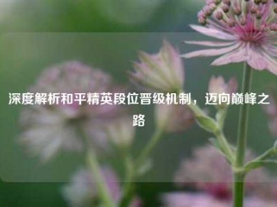 深度解析和平精英段位晋级机制，迈向巅峰之路