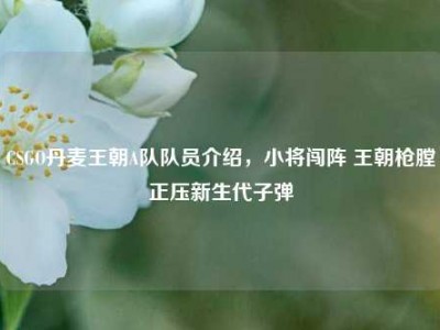 CSGO丹麦王朝A队队员介绍，小将闯阵 王朝枪膛正压新生代子弹
