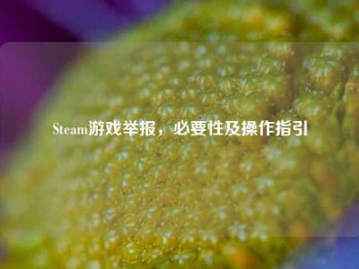 Steam游戏举报，必要性及操作指引