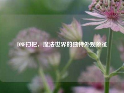 DNF扫把，魔法世界的独特外观象征