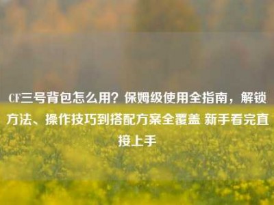 CF三号背包怎么用？保姆级使用全指南，解锁方法、操作技巧到搭配方案全覆盖 新手看完直接上手