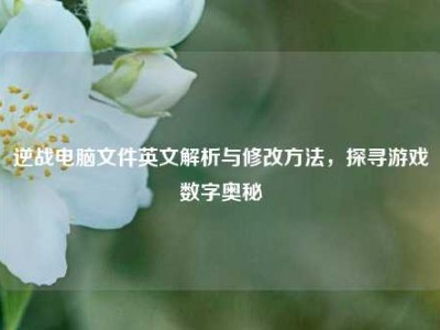 逆战电脑文件英文解析与修改方法，探寻游戏数字奥秘