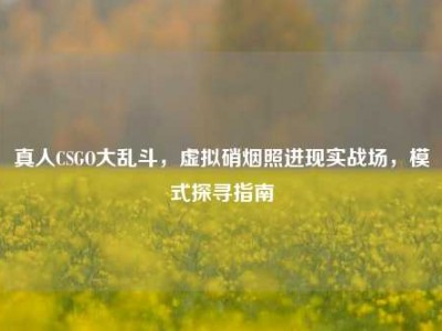 真人CSGO大乱斗，虚拟硝烟照进现实战场，模式探寻指南
