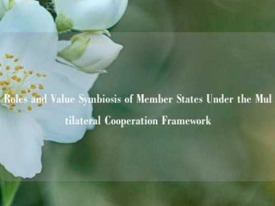 Roles and Value Symbiosis of Member States Under the Multilateral Cooperation Framework