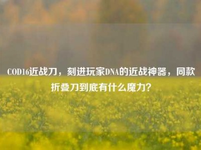 COD16近战刀，刻进玩家DNA的近战神器，同款折叠刀到底有什么魔力？