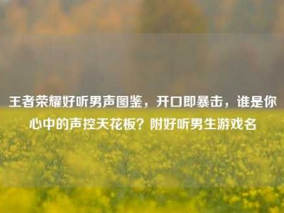王者荣耀好听男声图鉴，开口即暴击，谁是你心中的声控天花板？附好听男生游戏名