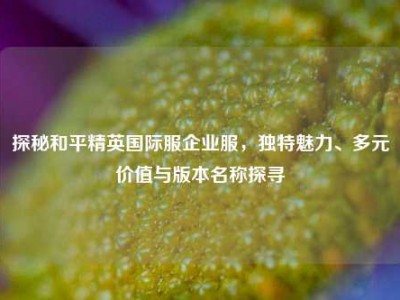 探秘和平精英国际服企业服，独特魅力、多元价值与版本名称探寻