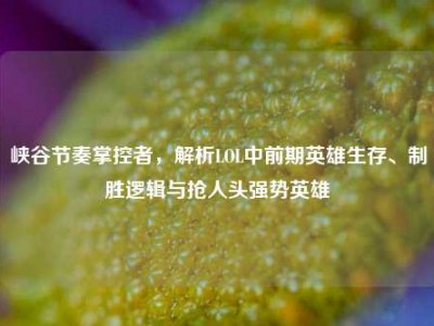 峡谷节奏掌控者，解析LOL中前期英雄生存、制胜逻辑与抢人头强势英雄